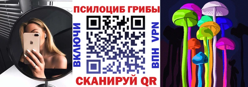 Псилоцибиновые грибы GOLDEN TEACHER закладки Строитель