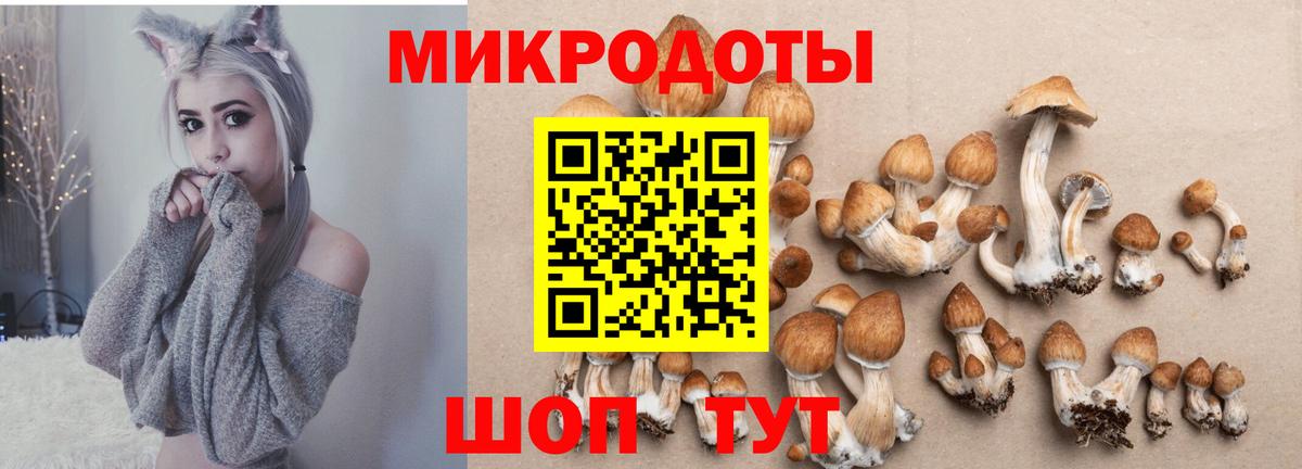 Строитель  Галлюциногенные грибы GOLDEN TEACHER  Галлюциногенные грибы Psilocybe  Вход с VPN 